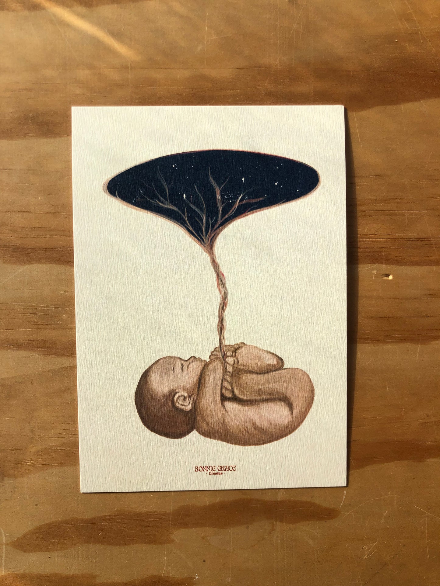 COSMOS BABY A5 Print